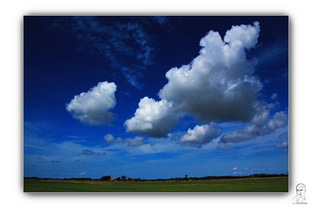 Entre el cielo y la tierra