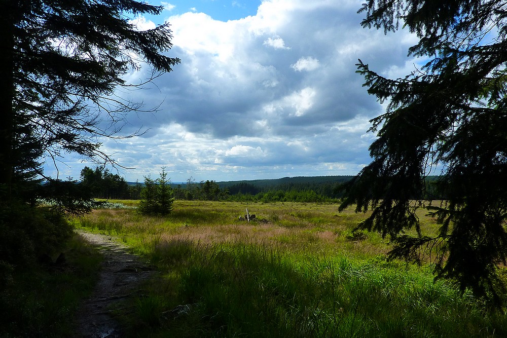 Entre Fagne et Ardenne