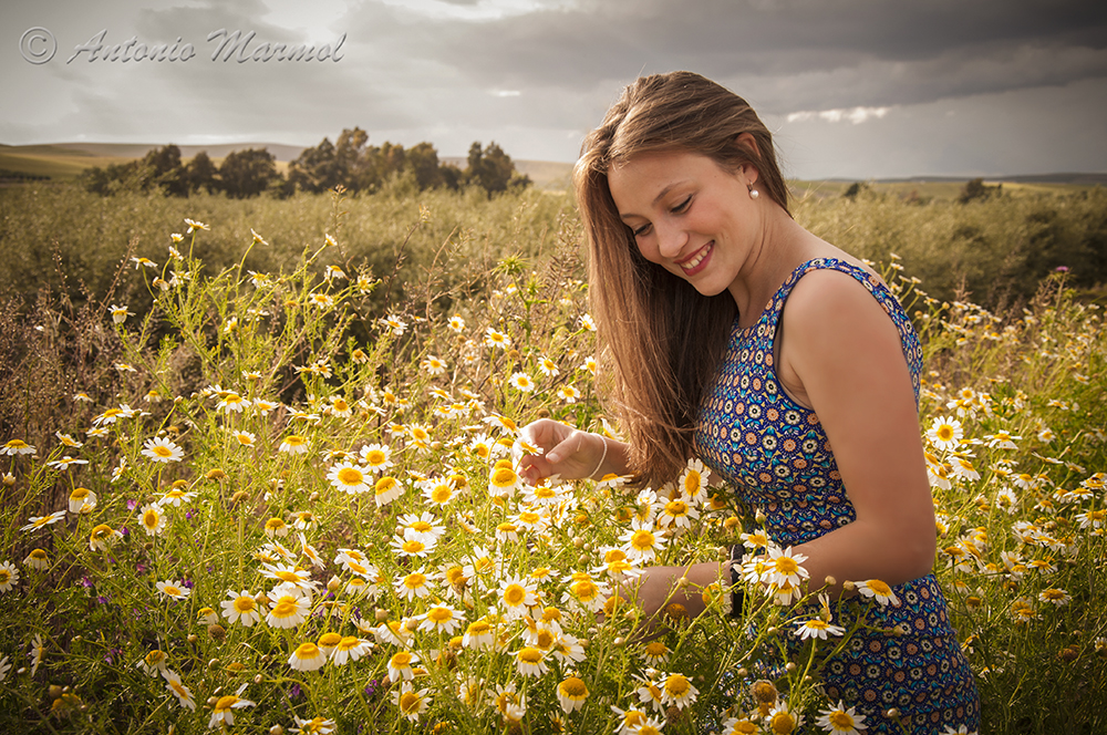 Entre Flores