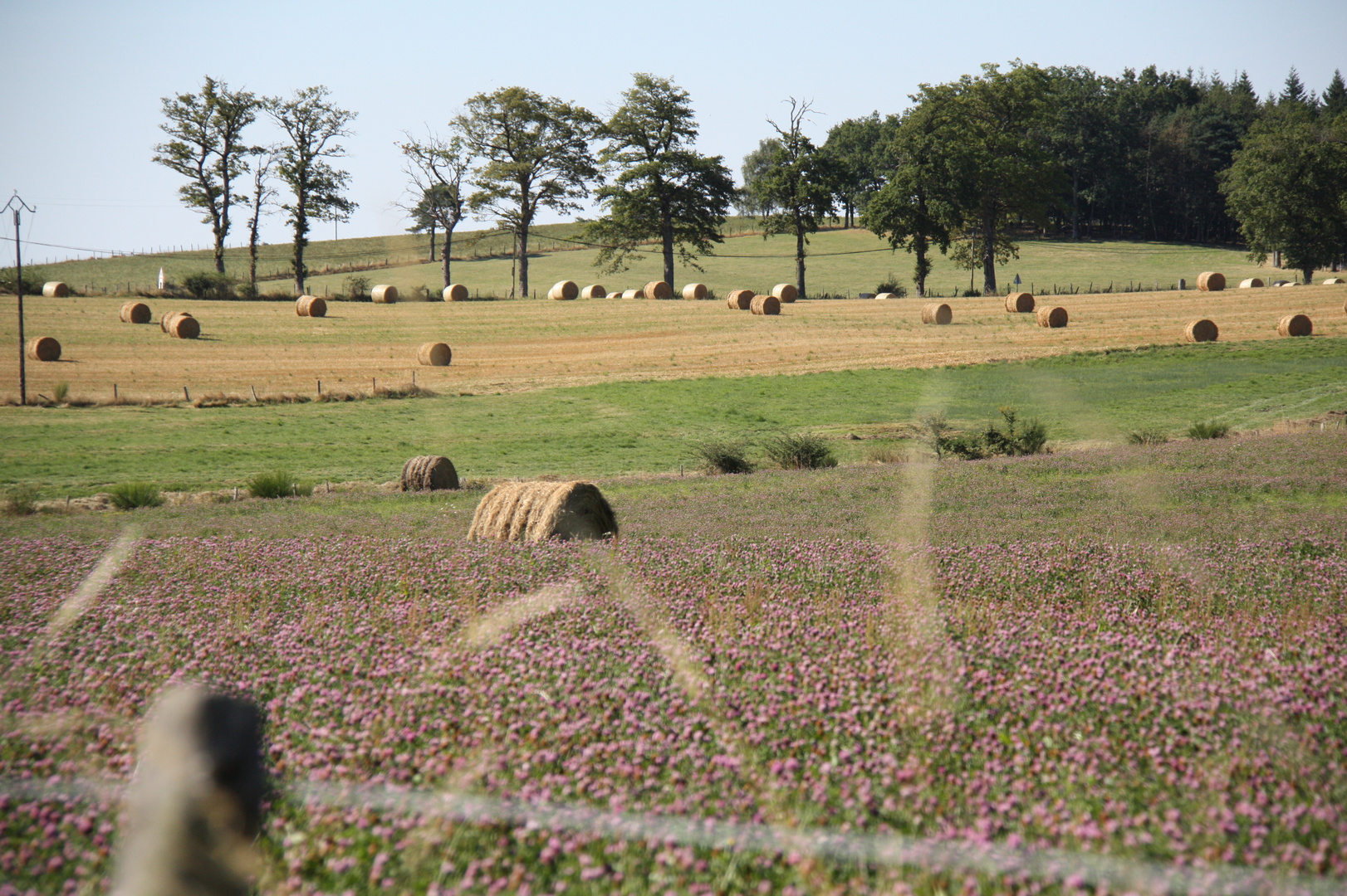 Entre foin et moisson