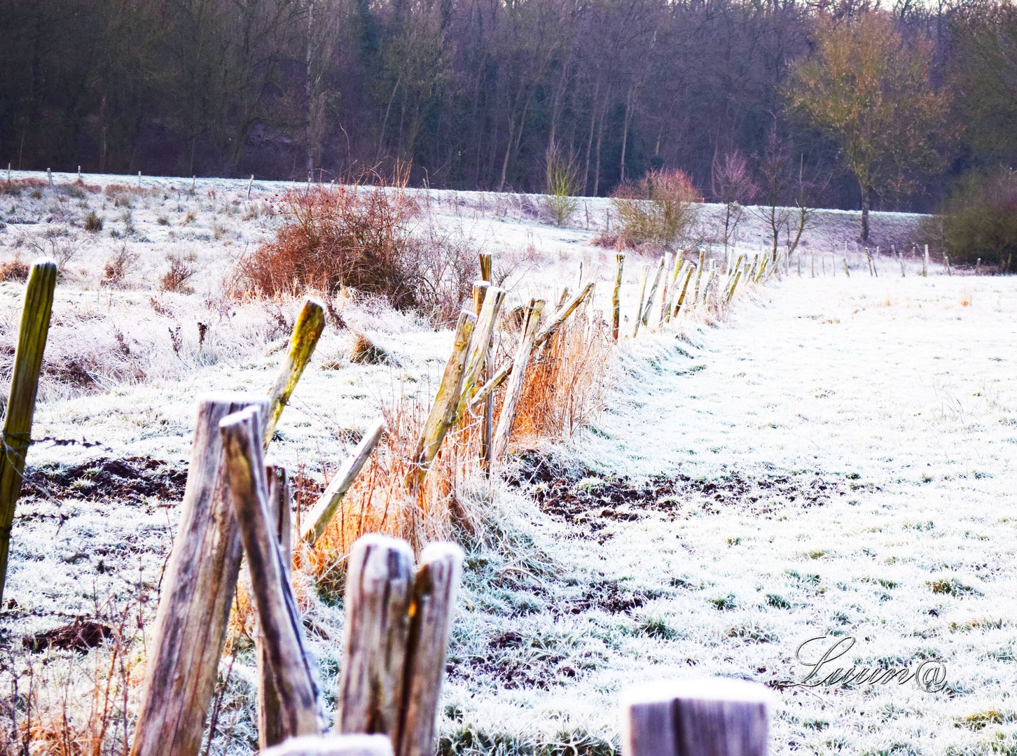 Entre givre ou neige ?