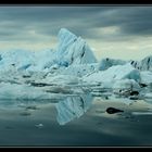Entre icebergs