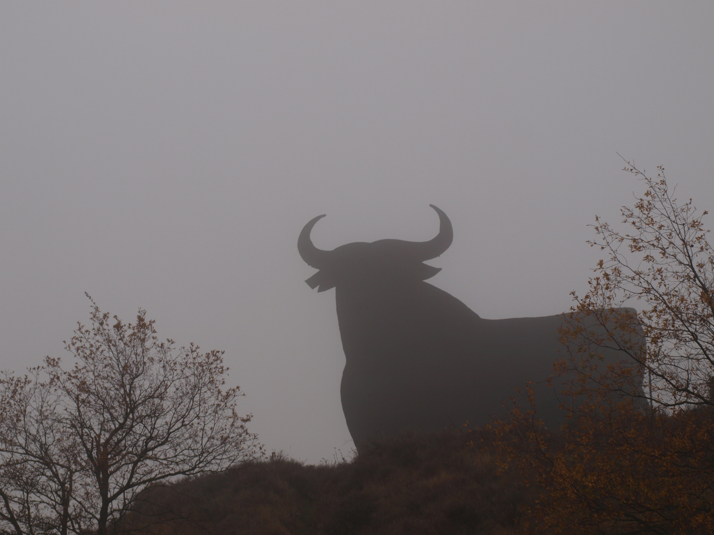 entre la niebla