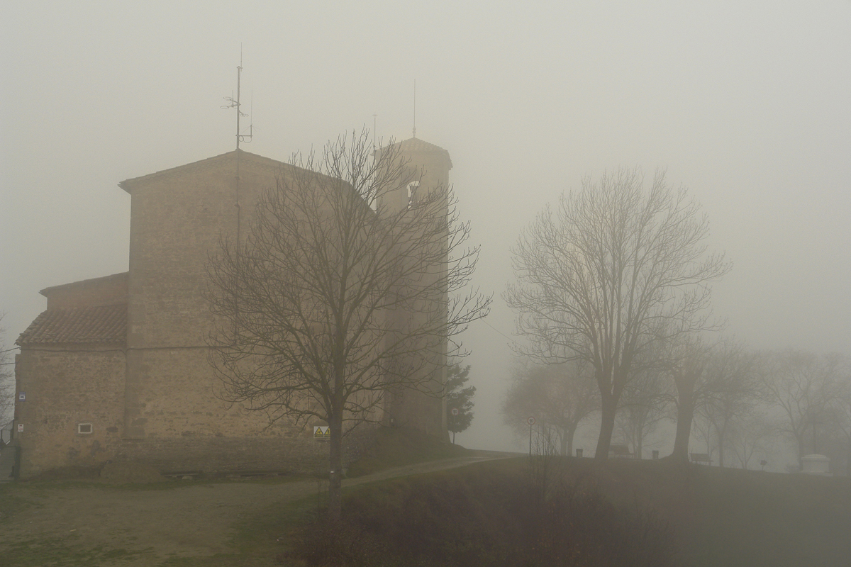 entre la niebla II