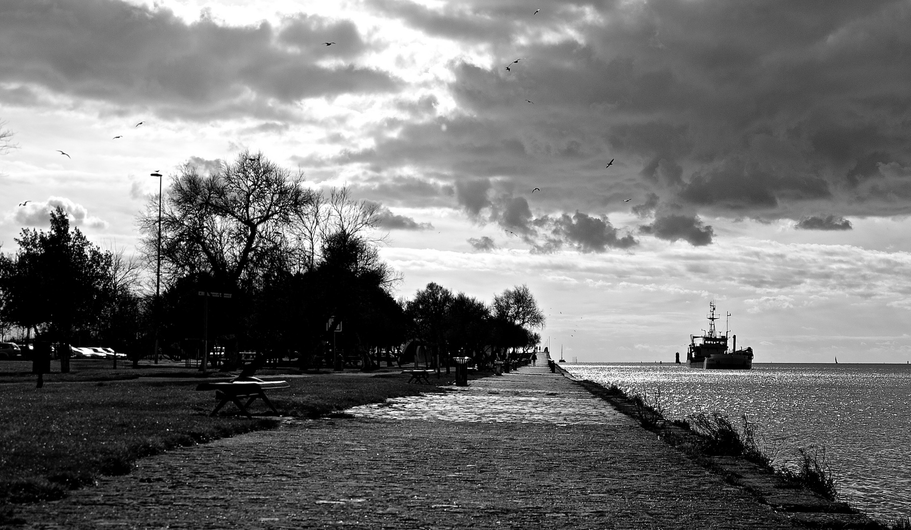 Entre la tierra y el mar