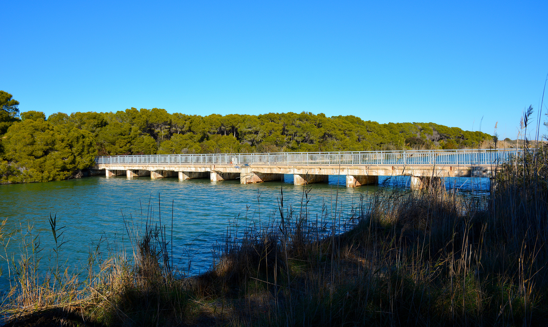 Entre lac et mer