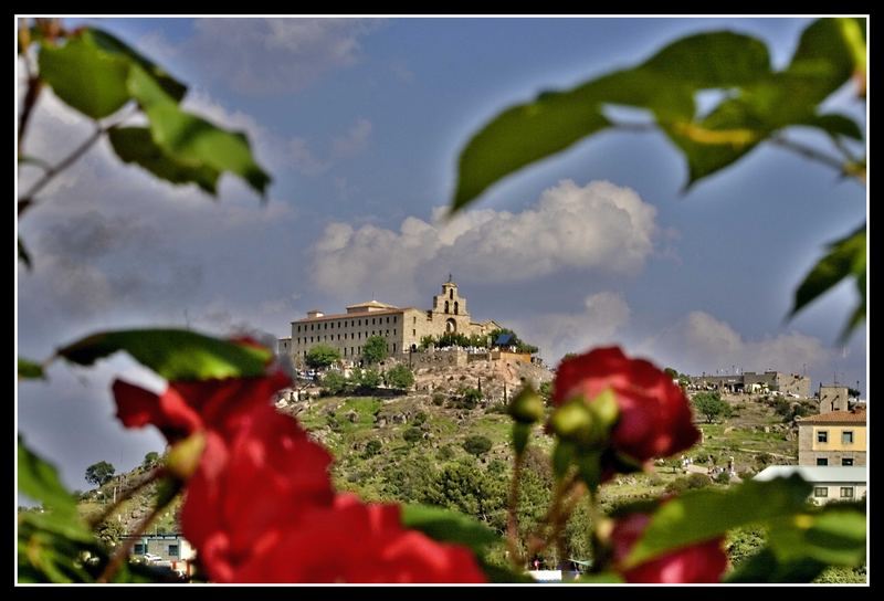 Entre las flores