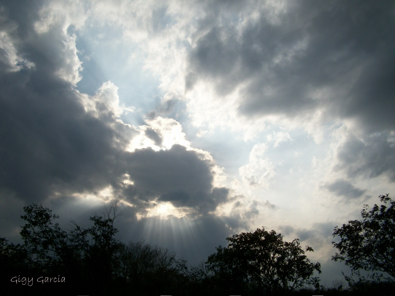 Entre las nubes