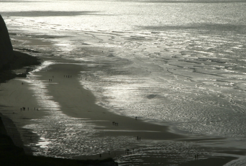 Entre le cap Blanc nez et Wissant.