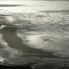 Entre le cap Blanc nez et Wissant.