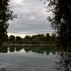 Entre les arbres, le lac