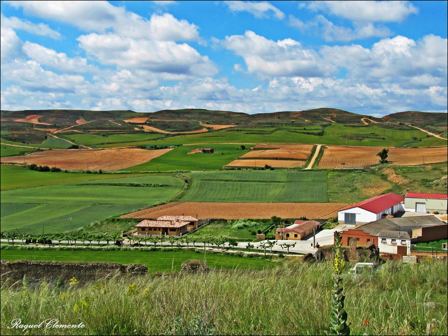 Entre los campos.