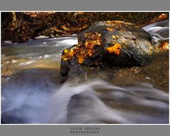 Entre luces y Sombras