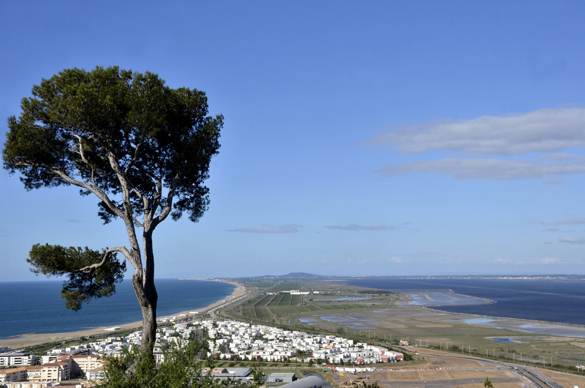 Entre mer et étang