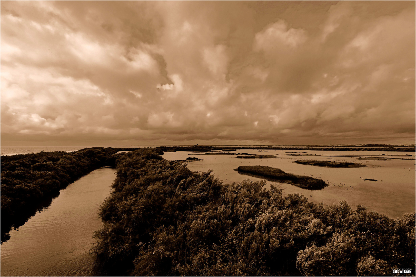 Entre Mer et Marais...