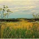 Entre mer et marais sur la Côte de la Manche