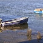 Entre mer et rivière