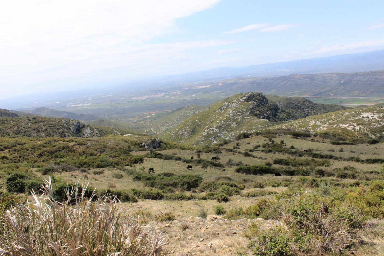 Entre montañas