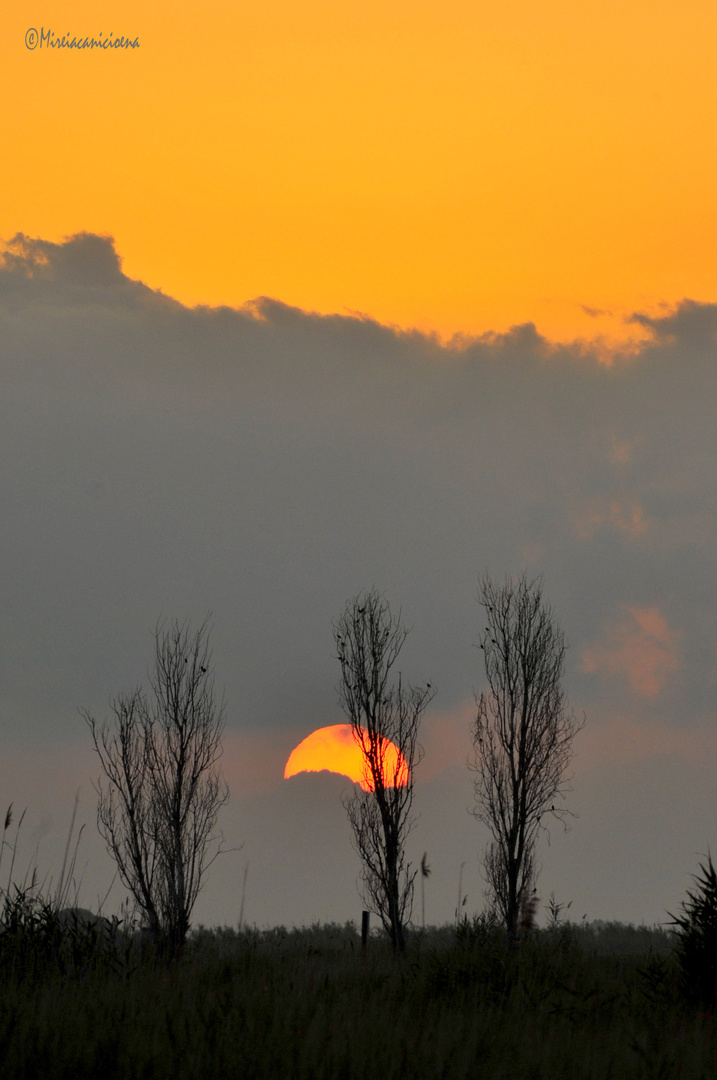 ENTRE NUBES ANDABA EL SOL