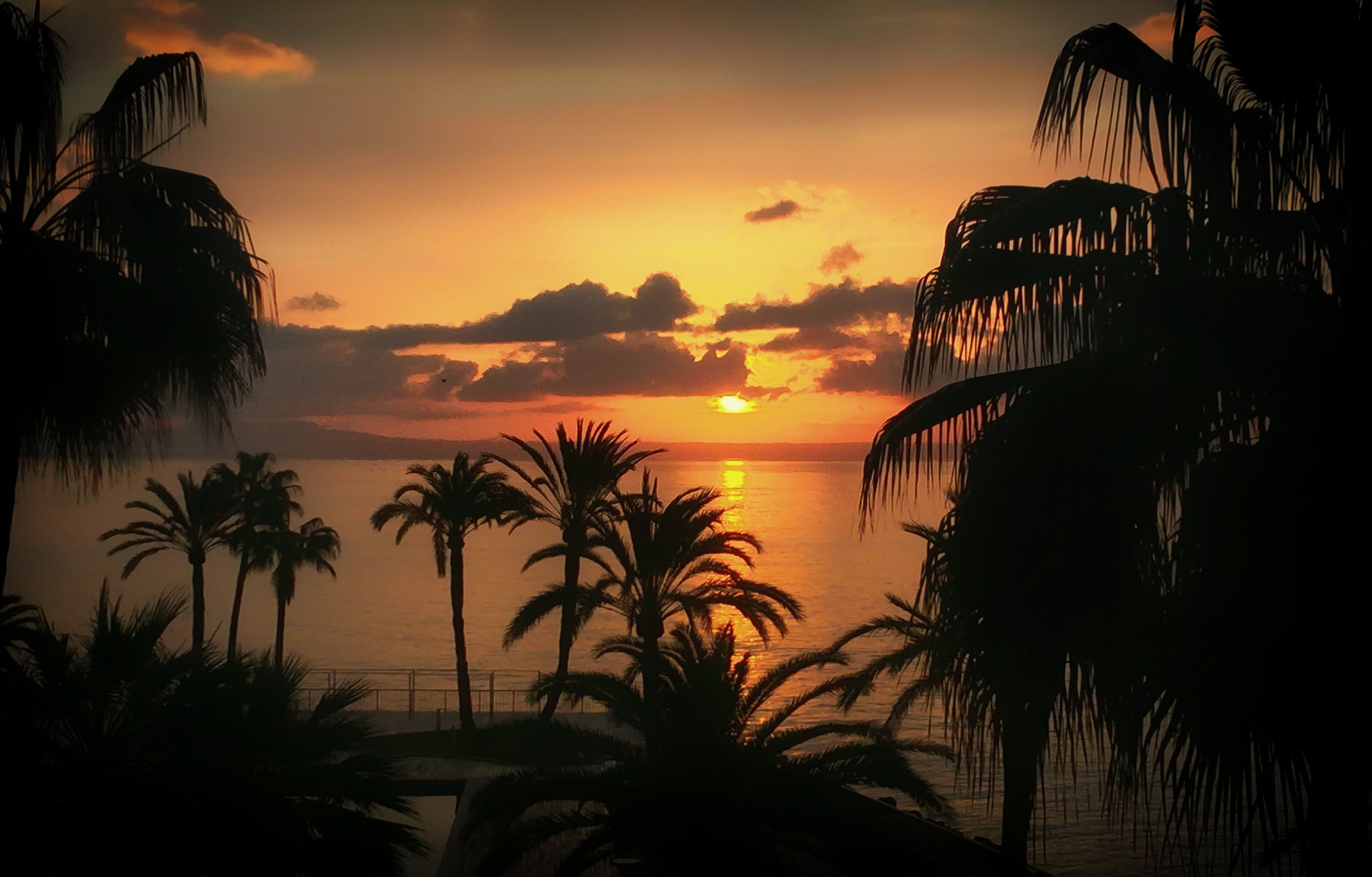  Entre Palmeras - Sunrise between Palms