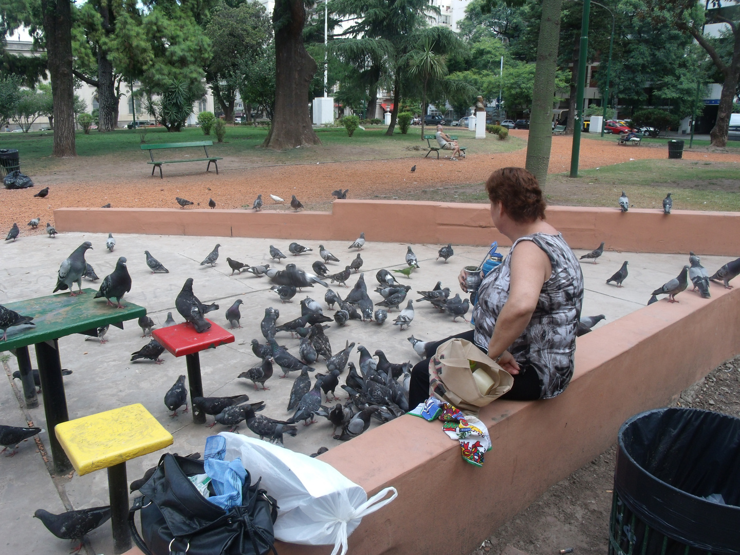 entre palomas...