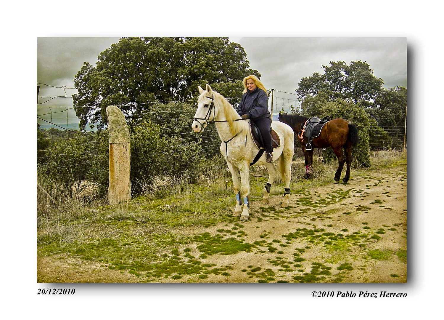 Entre paseo y paseo foto