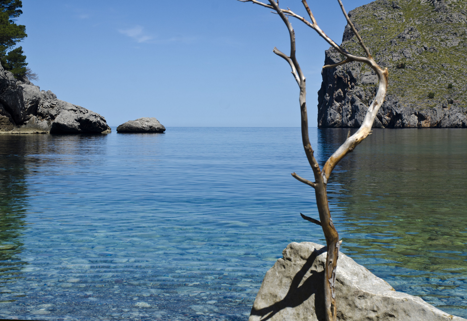 Entre Ramas, Sa Calobra