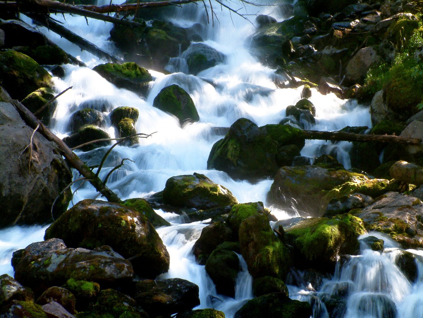 Entre rocas