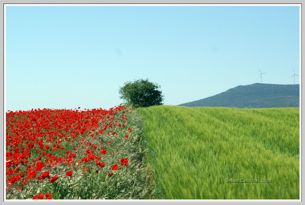 Entre rojo y verde