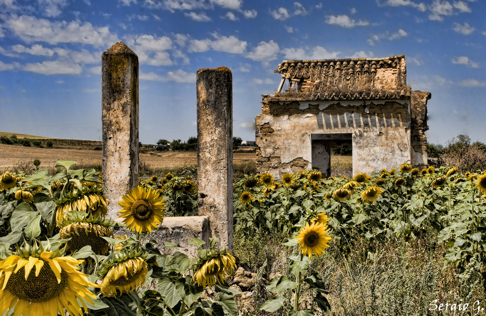 Entre ruinas