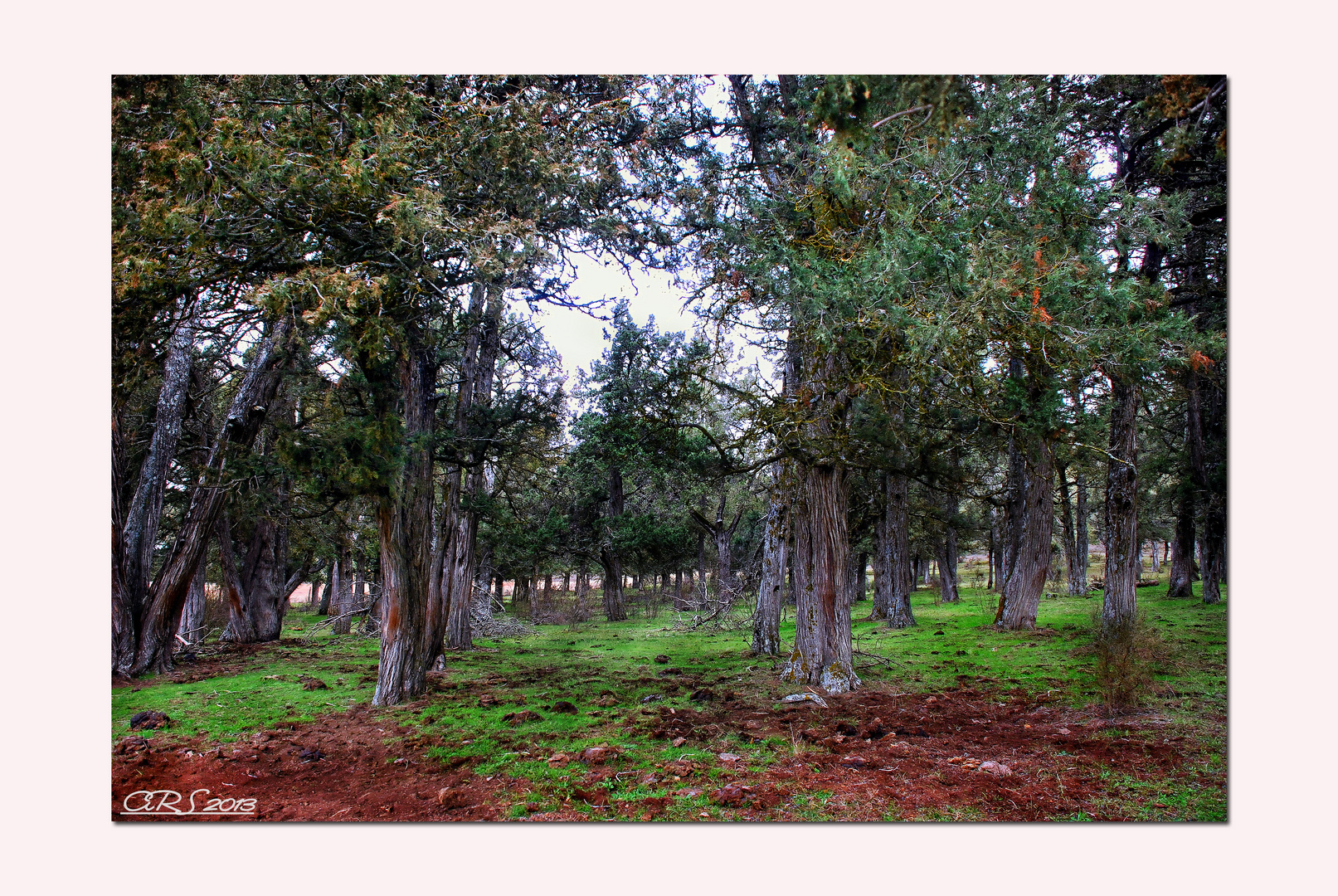 Entre sabinas, pero sin Joaquín