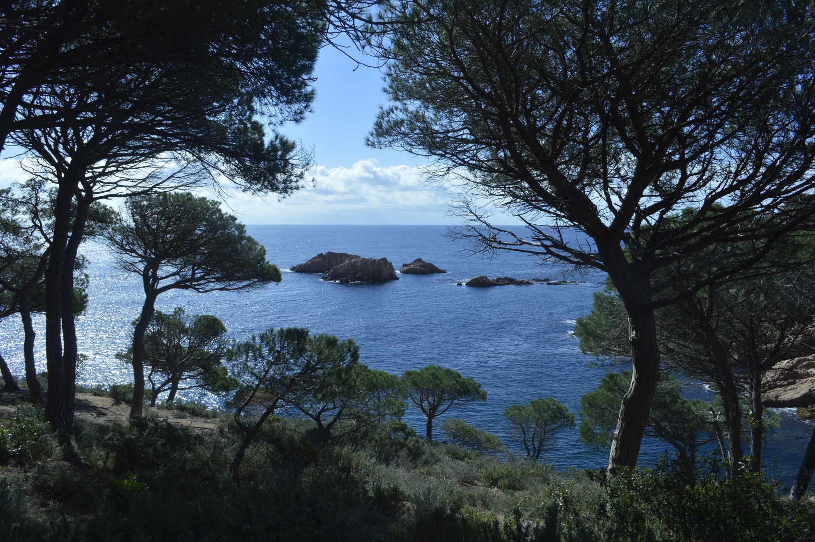 Entre Sant Feliu de Guixols i S'Agaró