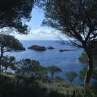 Entre Sant Feliu de Guixols i S'Agaró