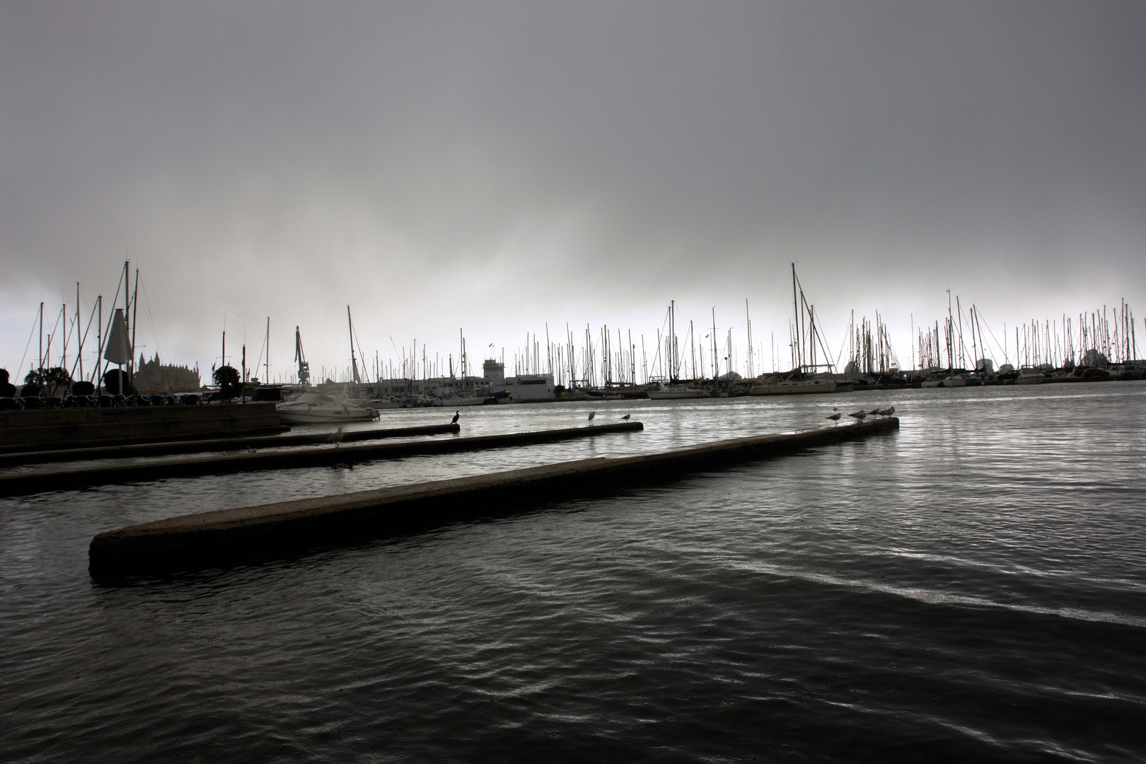 entre sol y lluvia