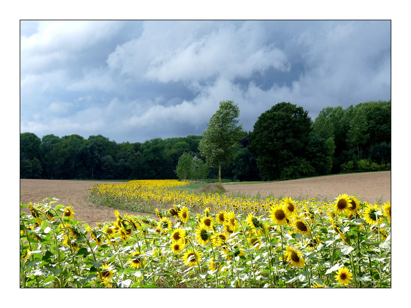 Entre soleil et orage ...