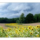 Entre soleil et orage ...