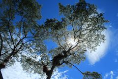 Entre sombras, San Agustin, Huila