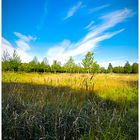 Entre terre et ciel la nature domine !