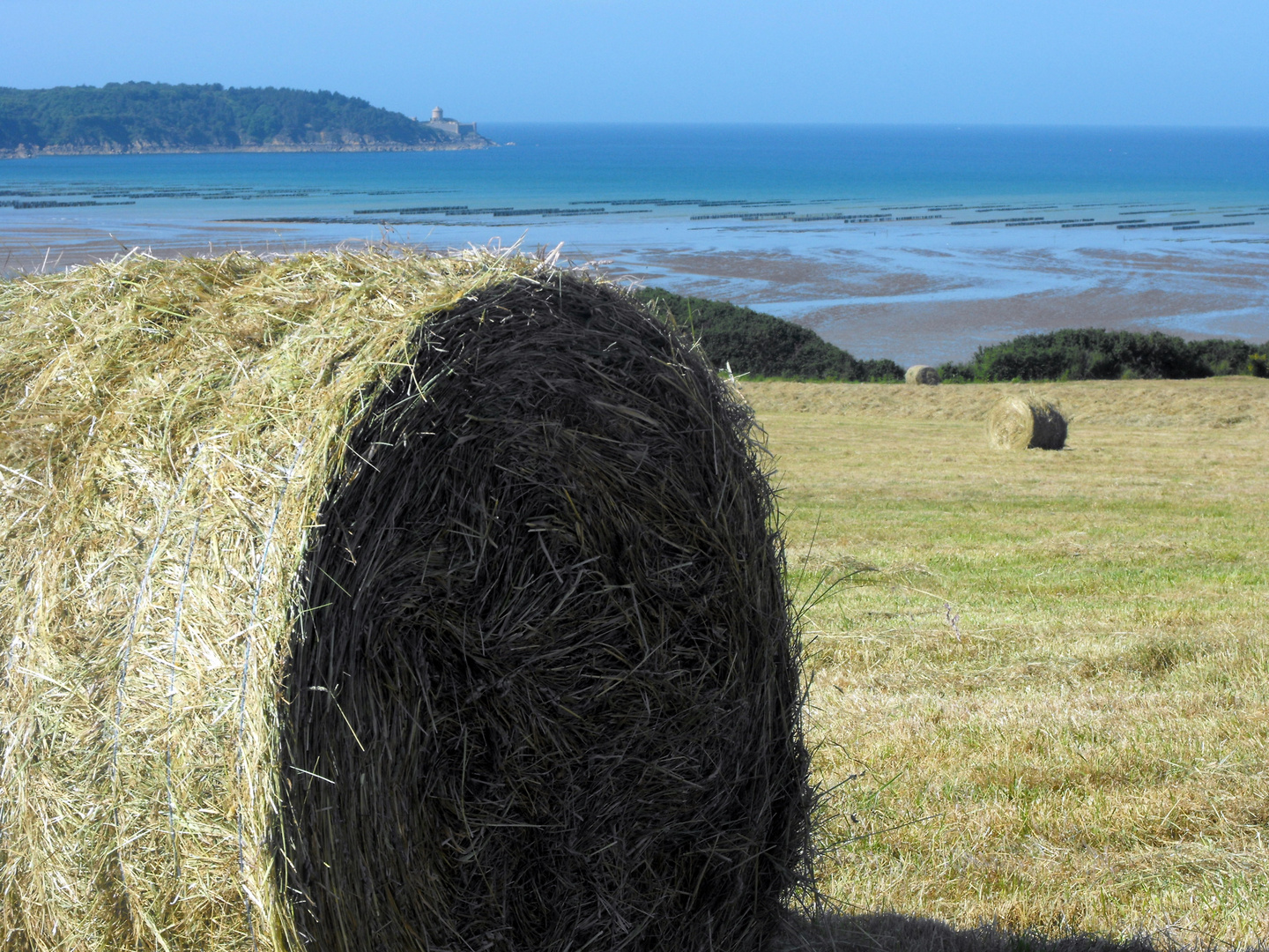 entre terre et mer