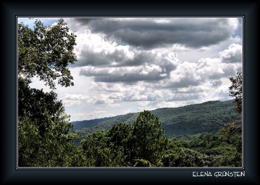 Entre verde y cielo