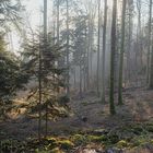 entre Wolfsthal et Château du Nideck ....