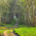 Entrée dans la forêt des fées....