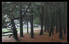 " Entrée fracassante dans l'automne "