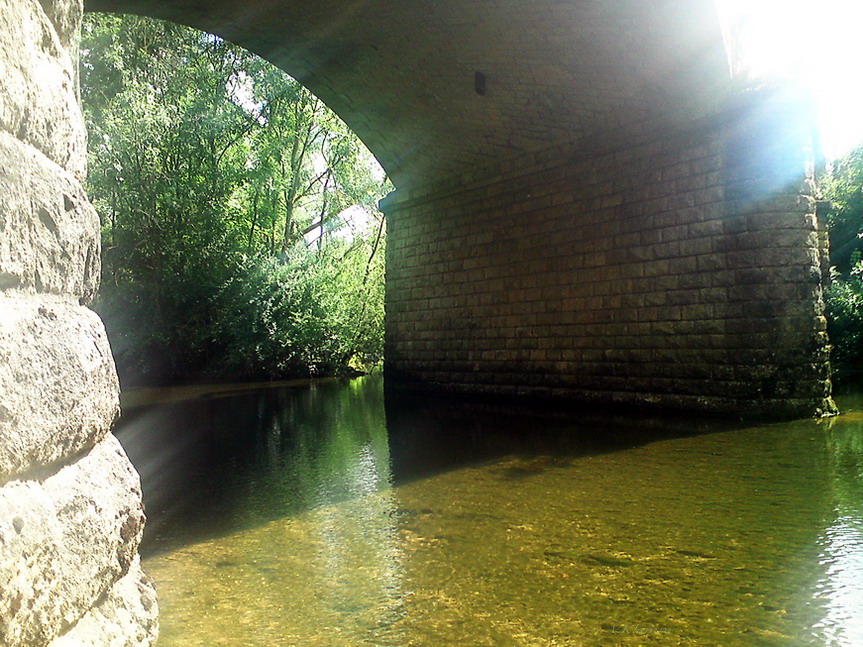 Entrer dans la lumière et rayonner de bonheur  