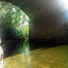 Entrer dans la lumière et rayonner de bonheur  