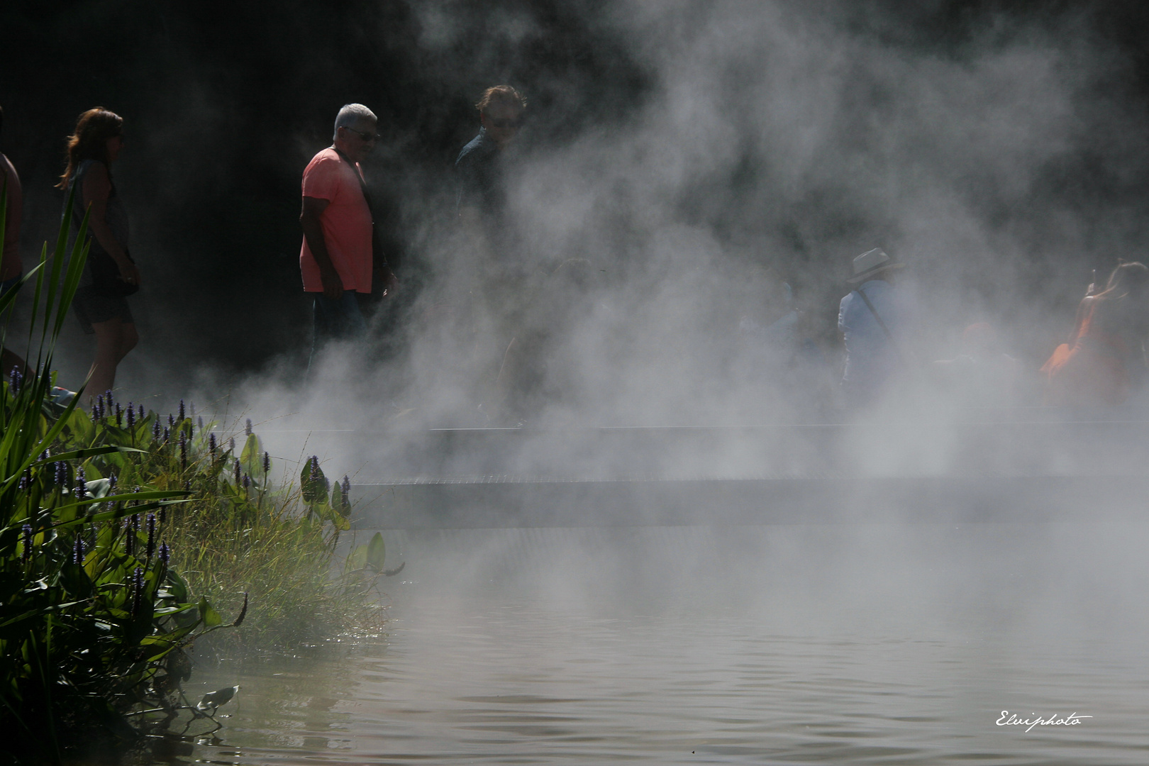 Entrer dans le brouillard