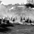 Entrevero de tropillas