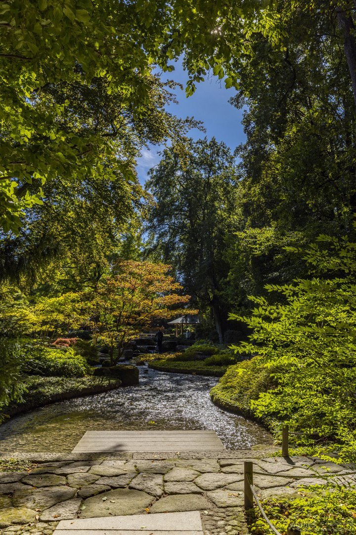 entry japanese garden