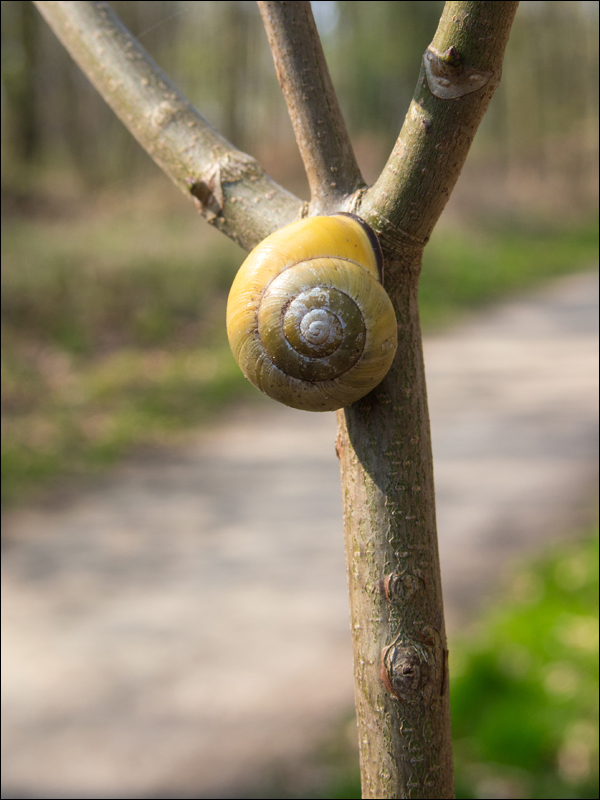 Entscheidung