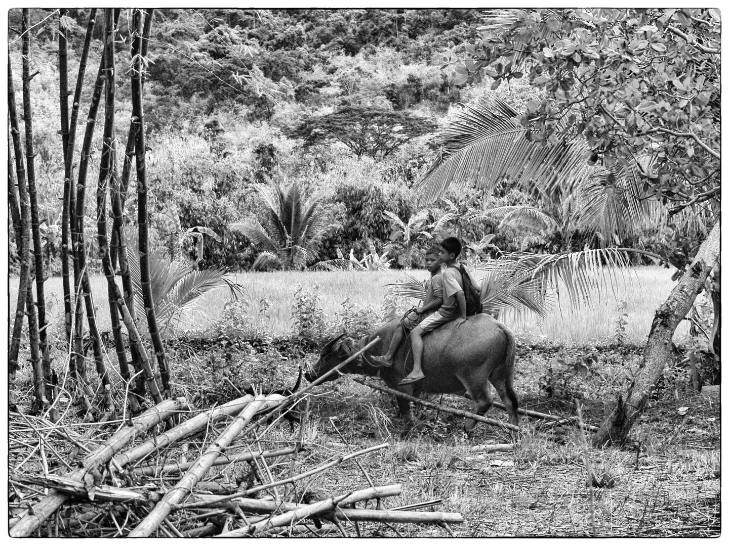 Entschleunigt auf Palawan 2005